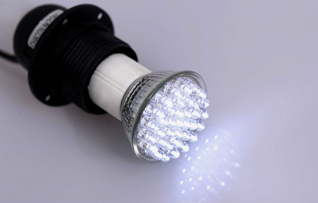 Ampoule LED
