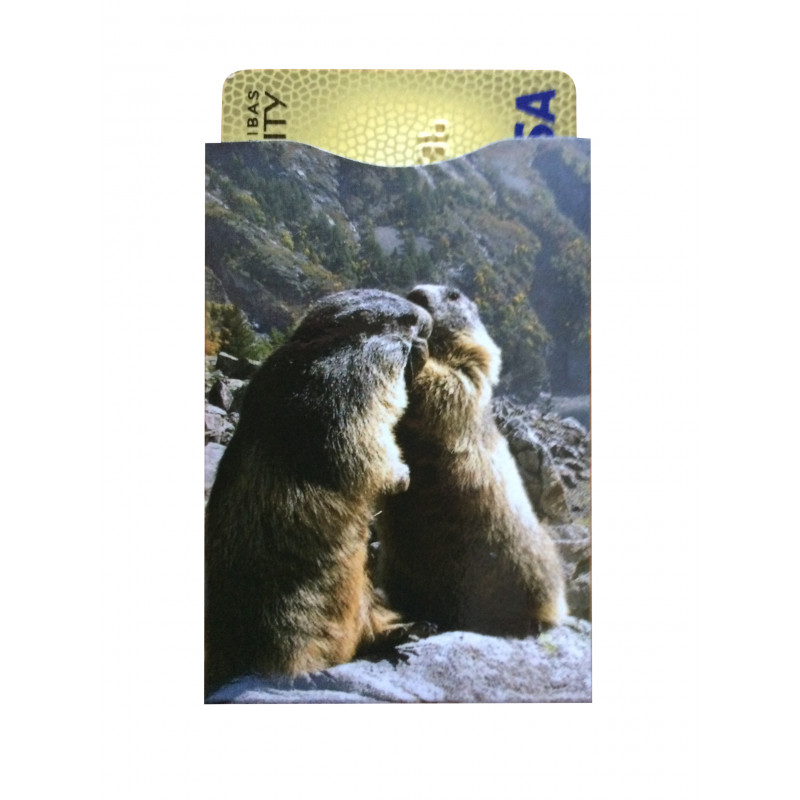 Protège-CB Montagne Marmote Protège-CB Montagne Marmote