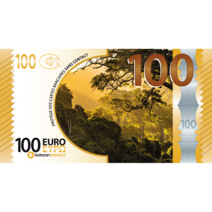 Billet Barrière RFID Kokoon Banknote Visuel Automne