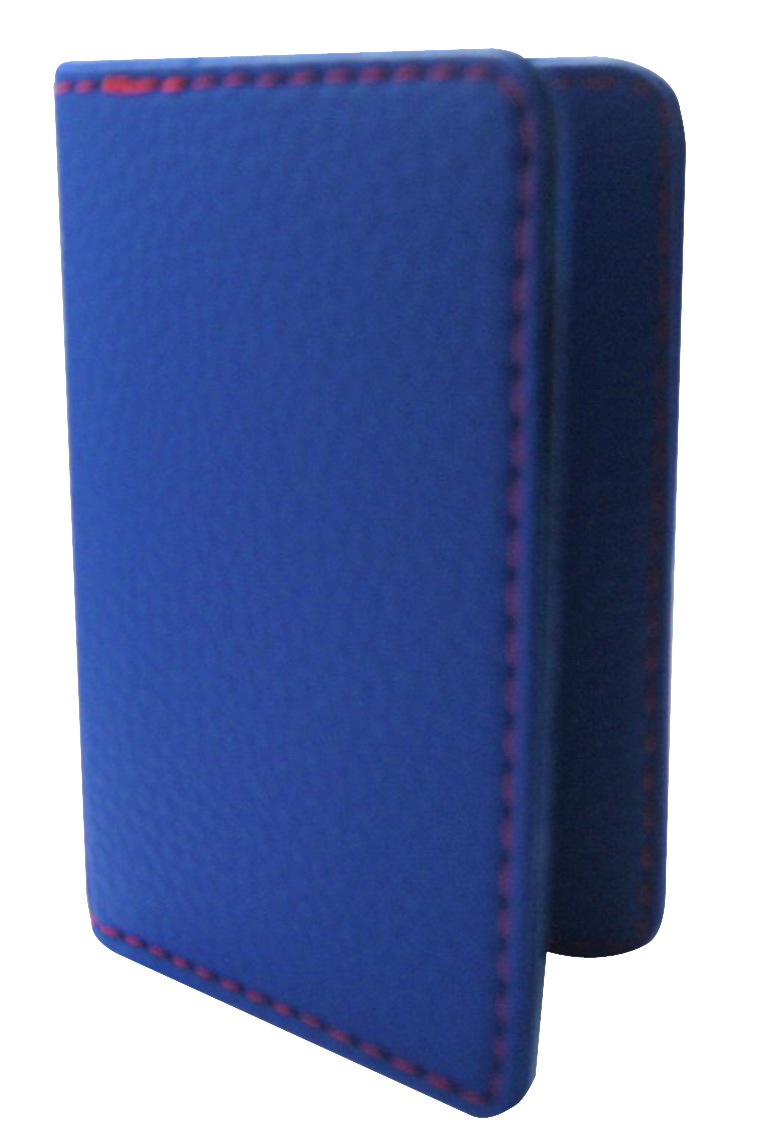 BLEU 1