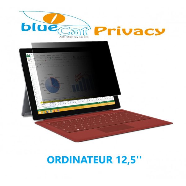 Filtre de confidentialité anti lumière bleue pour ordinateur 12.5''