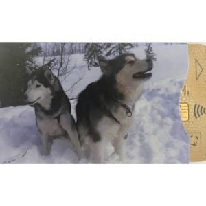 Protège-CB Montagne Husky