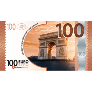 Présentoir de 12 Billets Barrière RFID Kokoon Banknote assortis