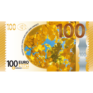 Présentoir de 12 Billets Barrière RFID Kokoon Banknote assortis