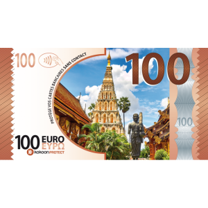 Présentoir de 12 Billets Barrière RFID Kokoon Banknote assortis